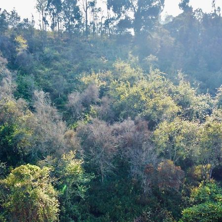 La Flora Kodaikanal Ngoại thất bức ảnh